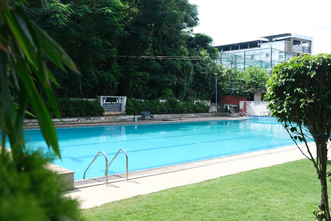 Swimming Technique & Endurance Workshop